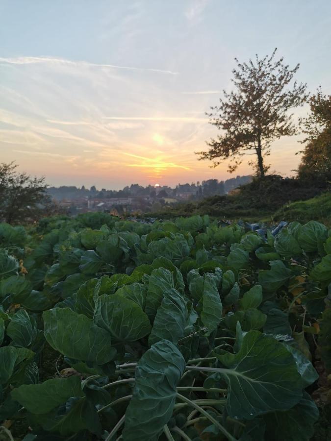 Agriturismo Teresa Delle Fragole Vigano Екстериор снимка